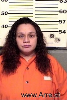 Salina M Garcia Mugshot