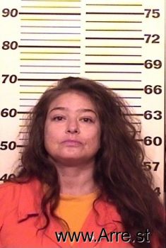 Sarah J Johnson Mugshot