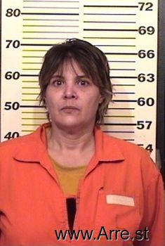 Shannon L Anderson Mugshot