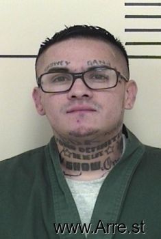 Shawn M Martinez Mugshot