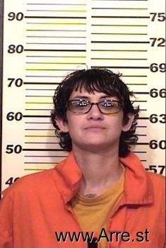 Shawna M Boyce Mugshot