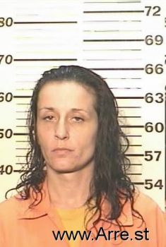 Shawna M Raykin Mugshot