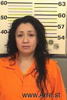 Starlene C Baldizan Mugshot