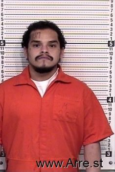 Steven L Gonzales Mugshot