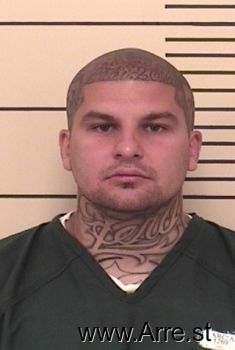 Theo  Garcia Mugshot