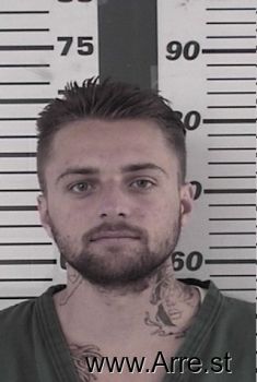 Timothy E Stapleton Mugshot