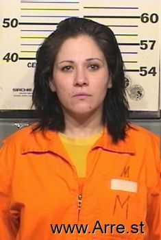 Tina L Montoya Mugshot