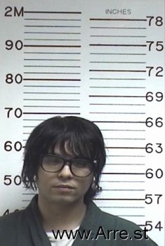 Tyler A Heguy Mugshot