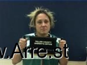 Tammy Loretta Holmes Mugshot