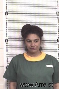 Valerie L Vigil Mugshot