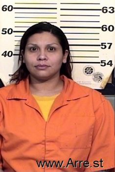 Veronica I Davila Mugshot