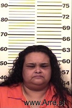 Veronica  Rodriguezsanchez Mugshot