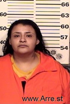 Viviana B Hernandez Mugshot