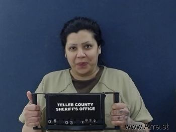 Veronica Louise Leyba Mugshot