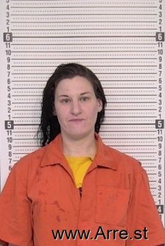 Wendy M Williams Mugshot