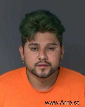 William Enrique Martinez-orellana Mugshot