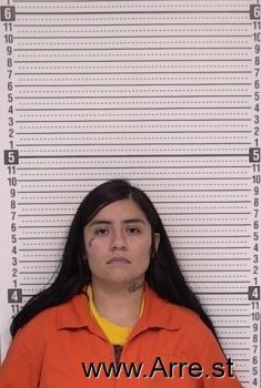 Xeraliyn C Benavides Mugshot