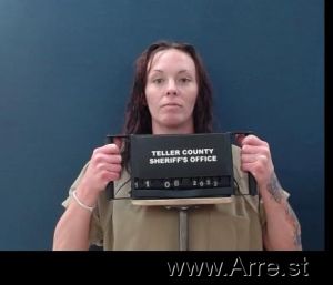 Christina Reitz Arrest Mugshot
