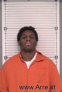 Jamaree Wilkins Arrest Mugshot