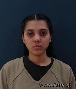 Jaidy Rondon-paez Arrest Mugshot