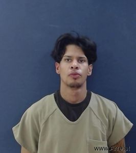 Luis Ortega Arrest Mugshot