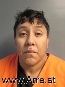 Maribel Bustillos Arrest Mugshot