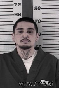 Michael Dimas Arrest Mugshot