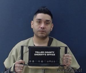 Mario Mejia-melgar Arrest Mugshot
