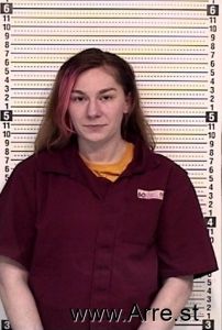 Sarah Jones-steffey Arrest Mugshot