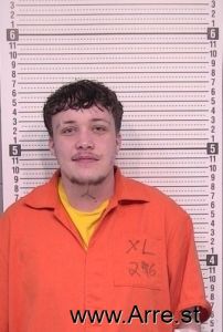 Taylor Wilkins Arrest Mugshot