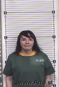 Tonya Gile Arrest Mugshot