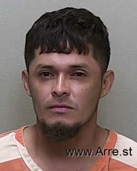 Jose  Abrego-gonzalez Mugshot