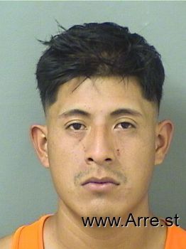 Alejandro  Perezjimenez Mugshot