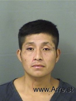 Alex  Moralesmaldonado Mugshot