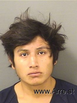 Alex  Velasquez Mugshot