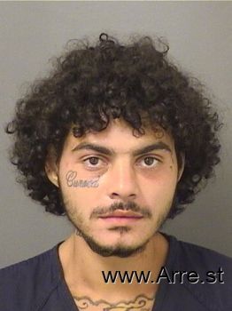 Alexander  Claudio Mugshot