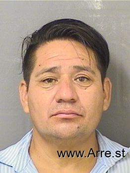 Alexandro  Vegagutierrez Mugshot