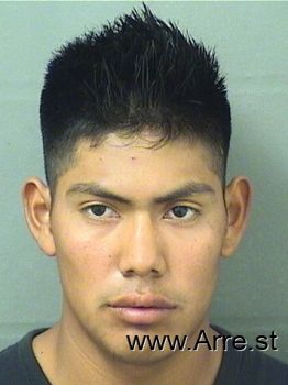 Alexis Gony Tomaslopez Mugshot