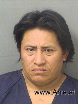 Alfredo Benja Lopezhernandez Mugshot