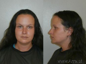 Amanda Lynn Norris Mugshot