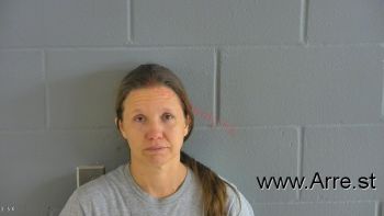 Amanda Lynn Rice Mugshot