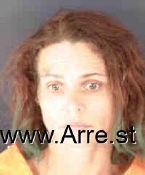 Amanda Lowder Robinson Mugshot