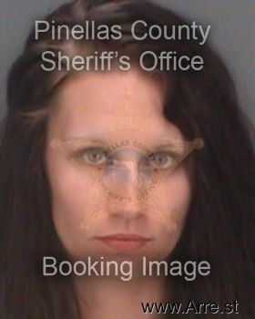 Amanda Lee Vitunski Mugshot