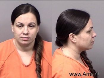 Ana Patricia Curbelo Mugshot