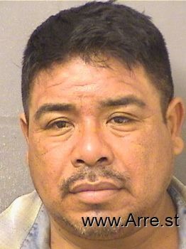 Andres  Flores Mugshot