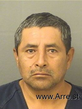 Andres Olegario Hernandeznieto Mugshot