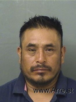 Armando  Lopezchaj Mugshot