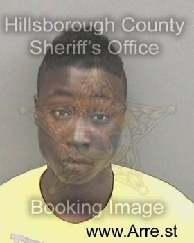 Ashley Rosemary Harris Monique Mugshot