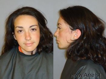 Ashley Summer Schmidt Mugshot