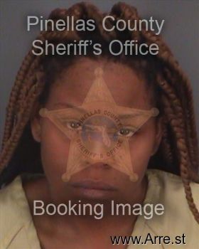 Ashley Nicole Stephenson Mugshot